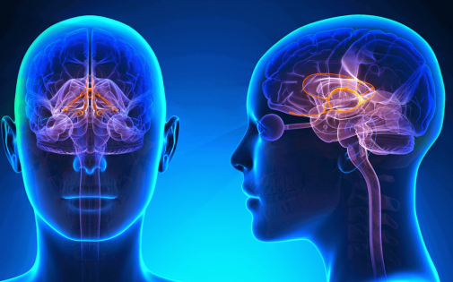How can Nootropics Help People - Smart Finil