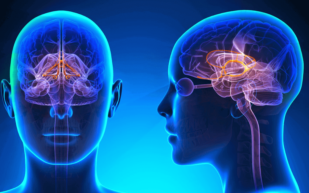 How can Nootropics Help People - Smart Finil