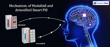 Mechanism of Modafinil and Armodafinil Smart Pill