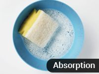 Absorption