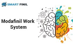 Modafinil Works