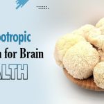 Best Nootropic Mushroom for Brain Health
