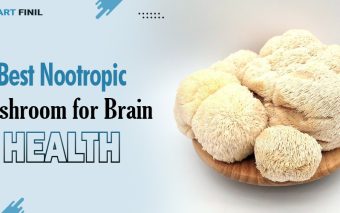 Best Nootropic Mushroom for Brain Health 7 Best Nootropic Mushroom for Brain Health