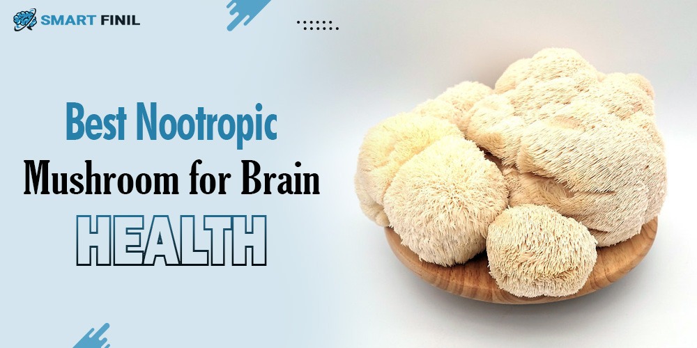 Best Nootropic Mushroom for Brain Health